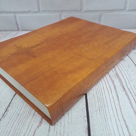 God's Wisdom for Today - My Daily Scripture Devotional Thomas Nel 2013 - Picture 2 of 7